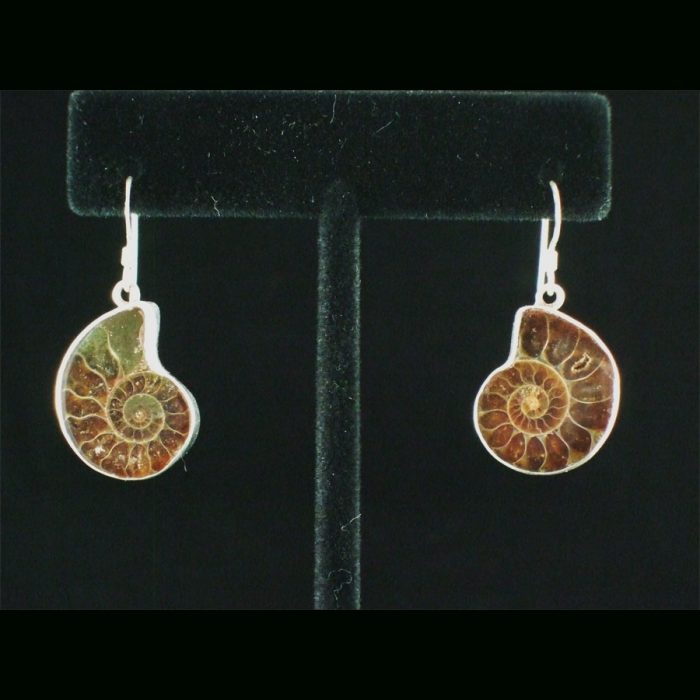 Ammonite Sterling Silver Dangle Earrings